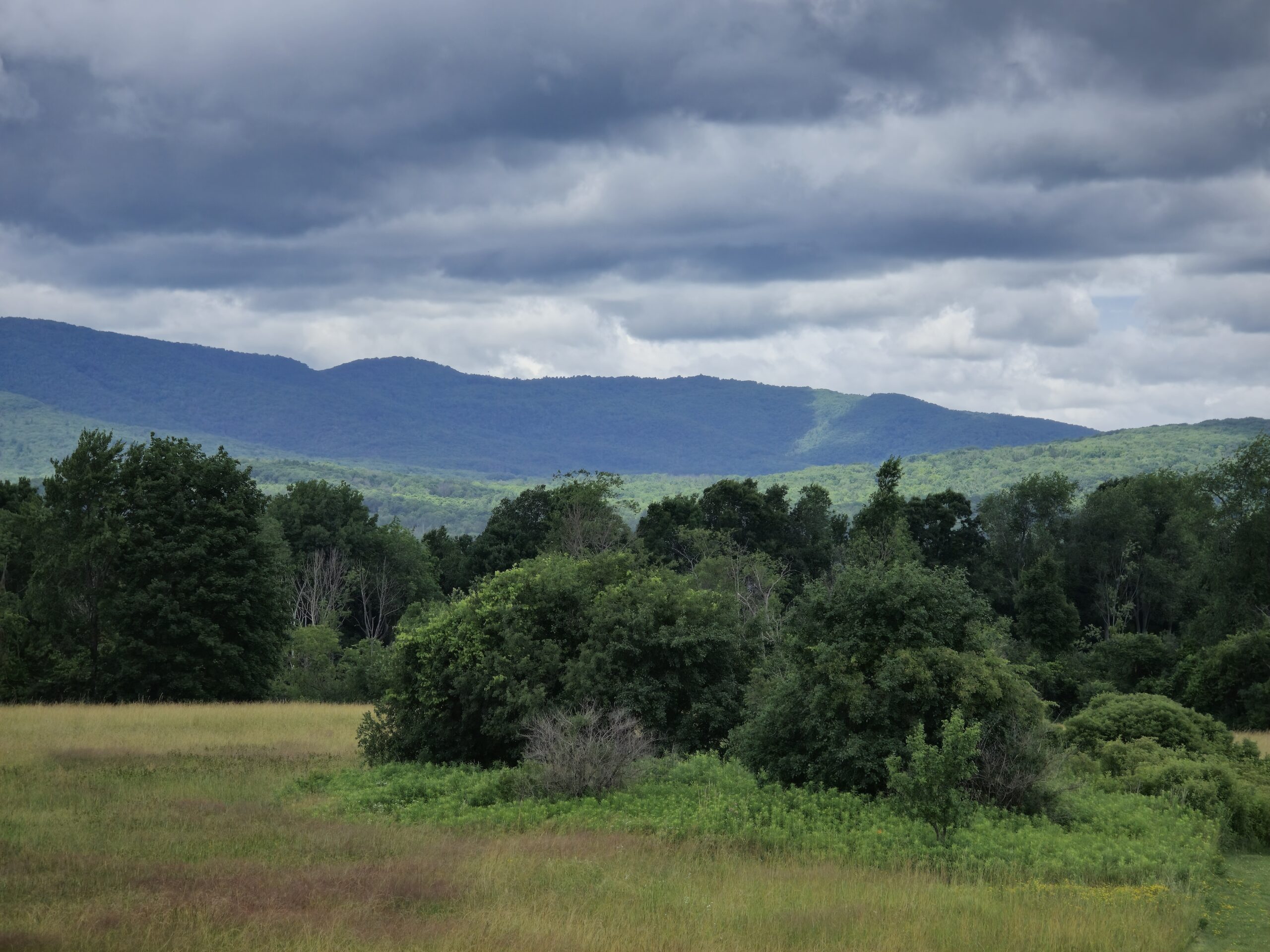 The Mountains of Williamstown